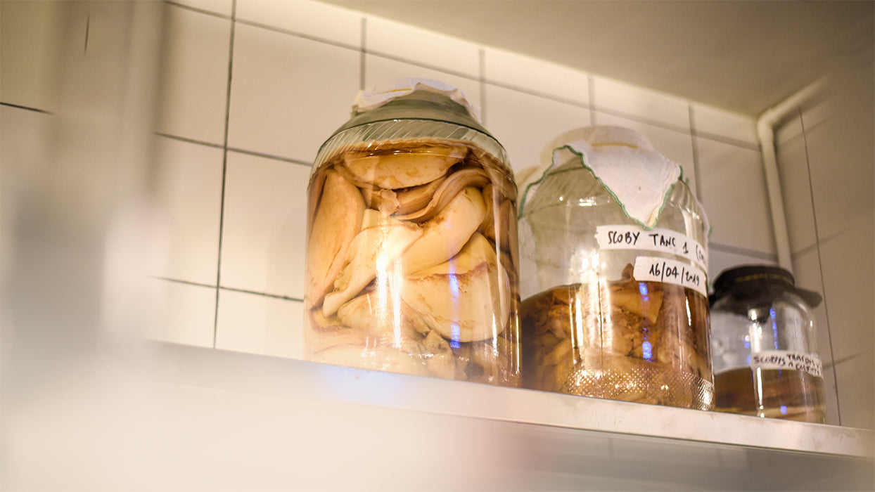 Lagerregal Kueche drei grosse Glaeser Kombucha Teepilz Scoby